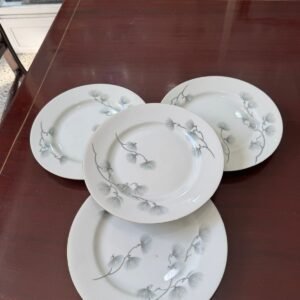 Juego de 12 platos de postre porcelana Tsuji