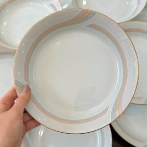 Juego de 12 platos hondos porcelana Tsuji