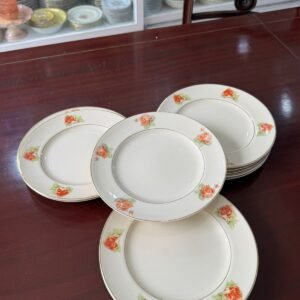 Juego de 12 platos de postre ingleses J&G MEAKIN