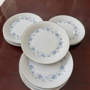Juego de 12 platos playos porcelana tsuji