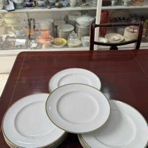 Juego de 12 platos playos porcelana