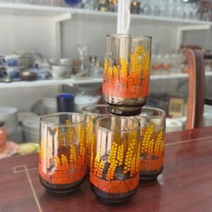 Set de 5 vasos retro