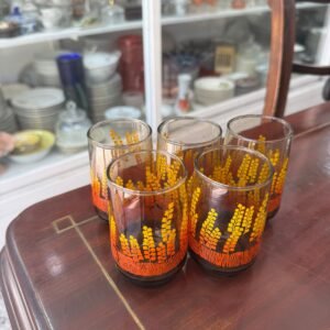 Set de 5 vasos retro