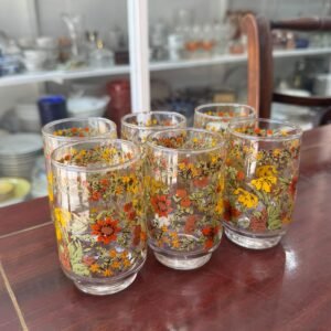 Juego de 6 vasos retro