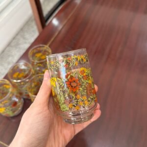 Juego de 6 vasos retro
