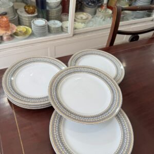 Juego de 12 platos playos porcelana verbano