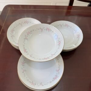 Juego de 12 platos hondos porcelana tsuji