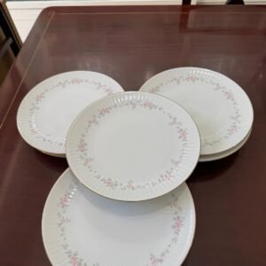 Juego de 12 platos playos porcelana tsuji