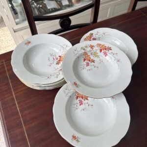 Juego de 12 platos hondos porcelana verbano
