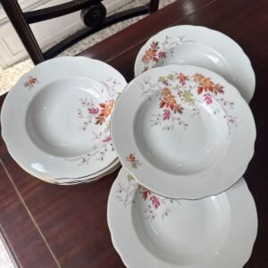 Juego de 12 platos hondos porcelana verbano