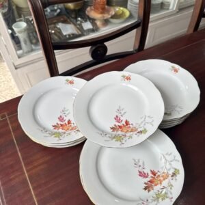 Juego de 12 platos de postre porcelana verbano