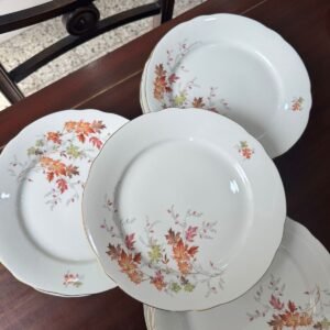 Juego de 6 platos playos porcelana verbano