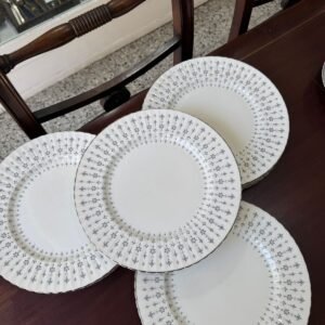 Juego de 12 platos playos porcelana ROYAL STANDARD BONE CHINA ENGLAND