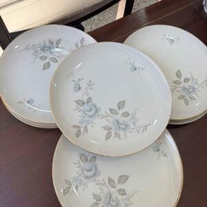 Juego de 12 platos playos porcelana tsuji