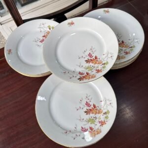 Juego de 11 platos playos porcelana verbano