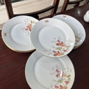 Juego de 12 platos playos porcelana verbano
