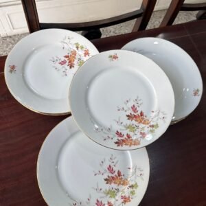 Juego de 11 platos playos porcelana verbano
