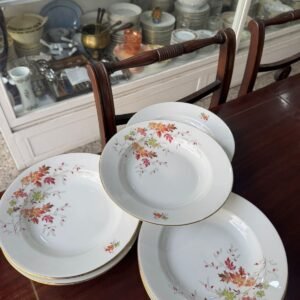 Juego de 12 platos hondos porcelana verbano