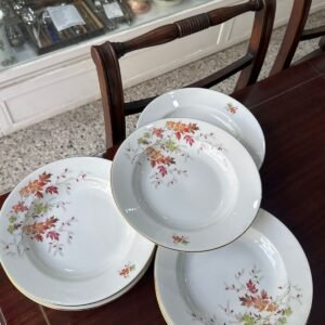 Juego de 12 platos hondos porcelana verbano