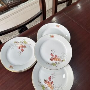 Juego de 12 platos de postre porcelana verbano