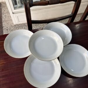 Set de 5 platos hondos porcelana tsuji