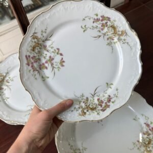 Juego de 10 platos playos porcelana