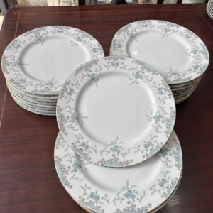 Juego de 11 platos playos porcelana japonesa