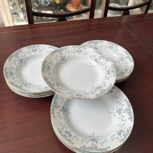 Juego de 12 platos hondos porcelana japonesa