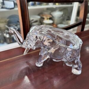 Elefante cofre de vidrio