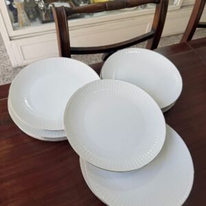 Juego de 11 platos playos porcelana tsuji