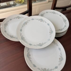 Juego de 12 platos playos porcelana tsuji