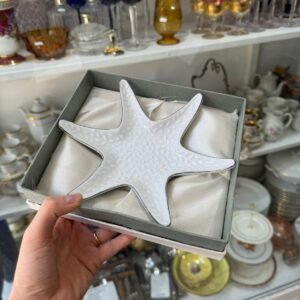 Estrella de mar de porcelana