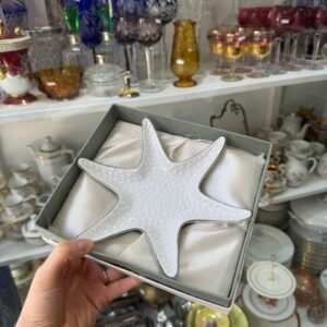 Estrella de mar de porcelana