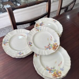 Juego de 15 platos playos ingleses