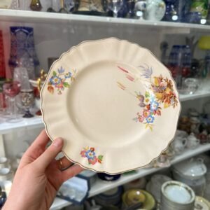 Juego de 15 platos playos ingleses