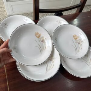 Juego de 12 platos hondos hartford