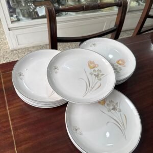 Juego de 12 platos playos hartford