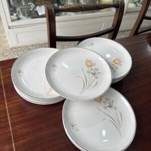 Juego de 12 platos playos hartford