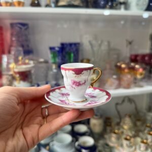 Dúo de café petit de colección de porcelana