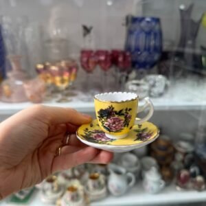 Dúo de café petit de colección de porcelana