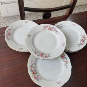 Juego de 8 platos de postre porcelana verbano