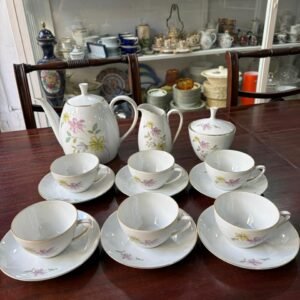 Juego de té porcelana verbano para 6 personas