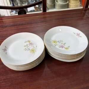 Juego de 11 platos de postre porcelana verbano