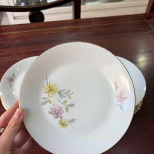 Juego de 11 platos de postre porcelana verbano