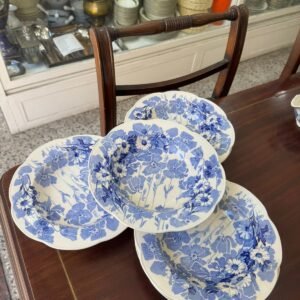 Juego de 6 platos hondos ingleses