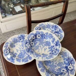 Juego de 6 platos hondos ingleses