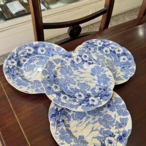 Set de 5 platos playos ingleses