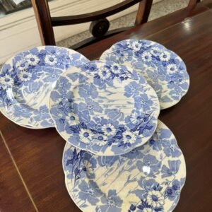 Set de 5 platos playos ingleses