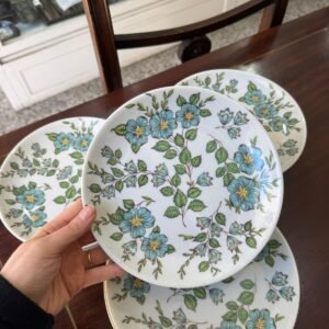 Juego de 12 platos de postre porcelana MARLY