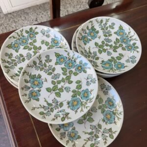 Juego de 10 platos playos porcelana MARLY